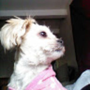 Meet your Posher, Theresa